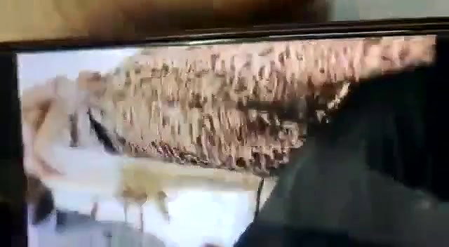 Desi Bhabhi Pussy Licking and Fucking