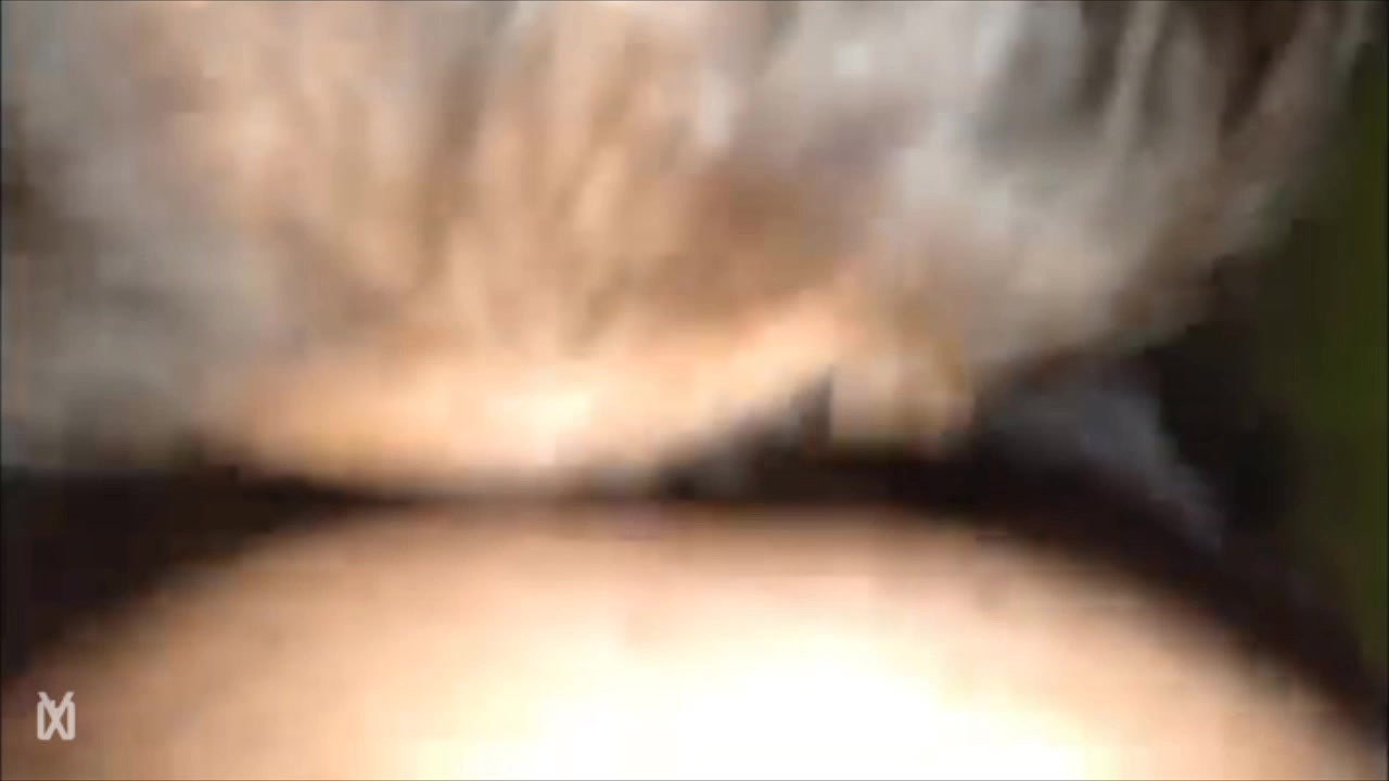 Aunty blowjob like pro