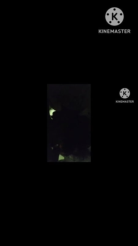 Friend Mom sucking and riding dick