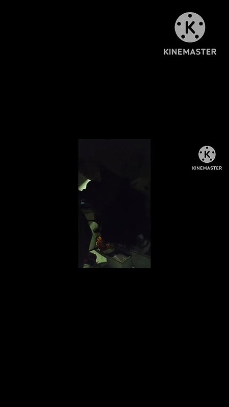 Friend Mom sucking and riding dick