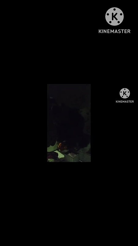 Friend Mom sucking and riding dick