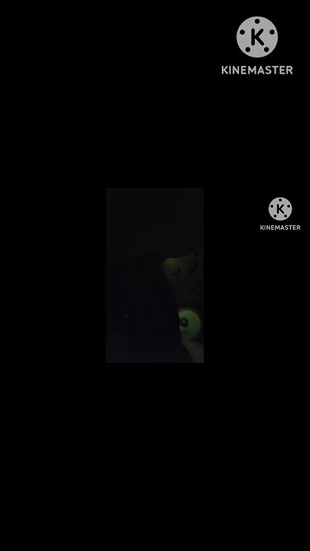 Friend Mom sucking and riding dick