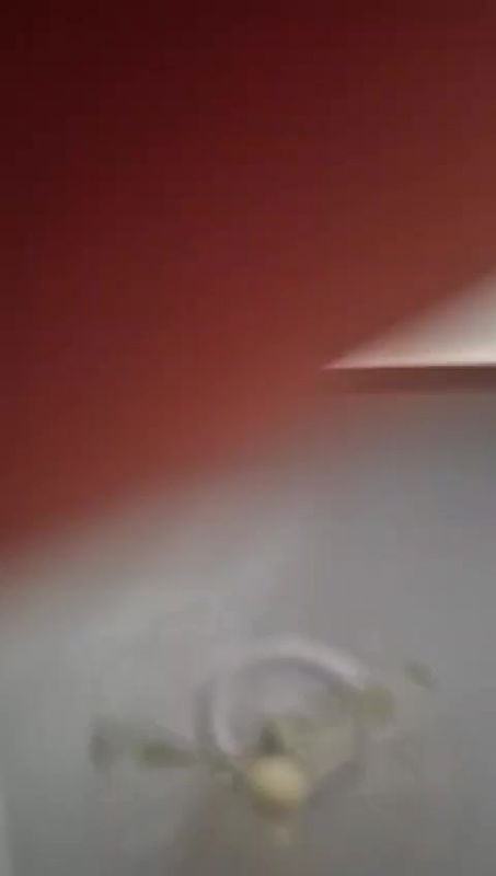 Mumbai Lovers Snapchat videos leaked cute chubby girl XX