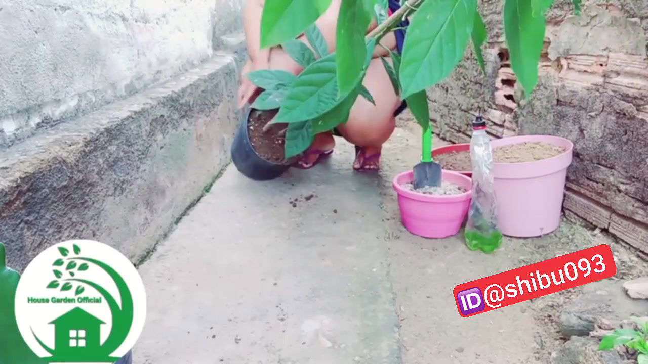 Desi fatty youtuber nude work