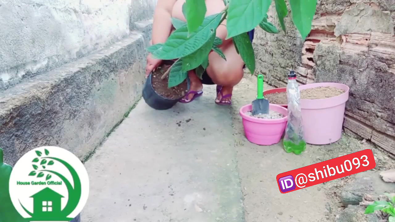 Desi fatty youtuber nude work