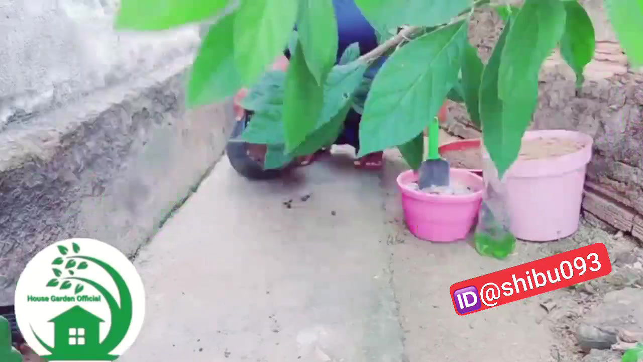 Desi fatty youtuber nude work