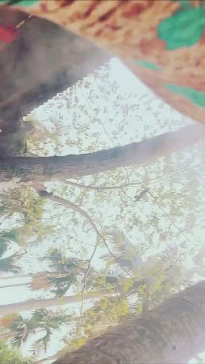 Chaci ki chut saree ki niche se