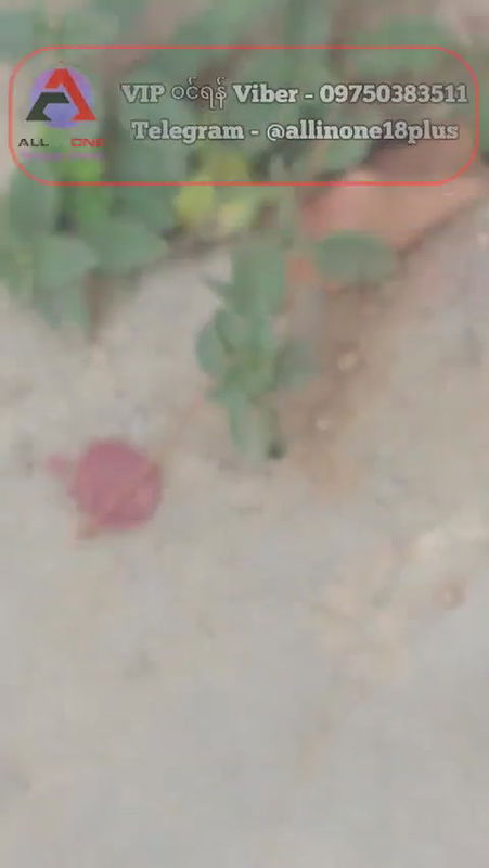 Burma Lover fucking gf capture