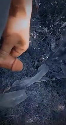 Bhabhi sucking in outdoor