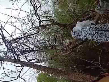 Indian Bhabi Enjoy Sex