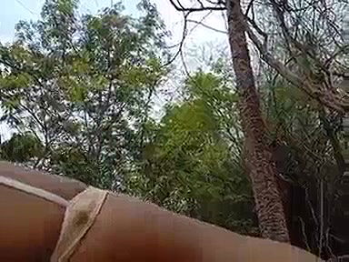 Indian Bhabi Enjoy Sex