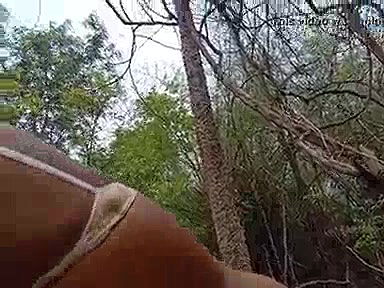 Indian Bhabi Enjoy Sex