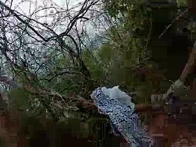 Indian Bhabi Enjoy Sex