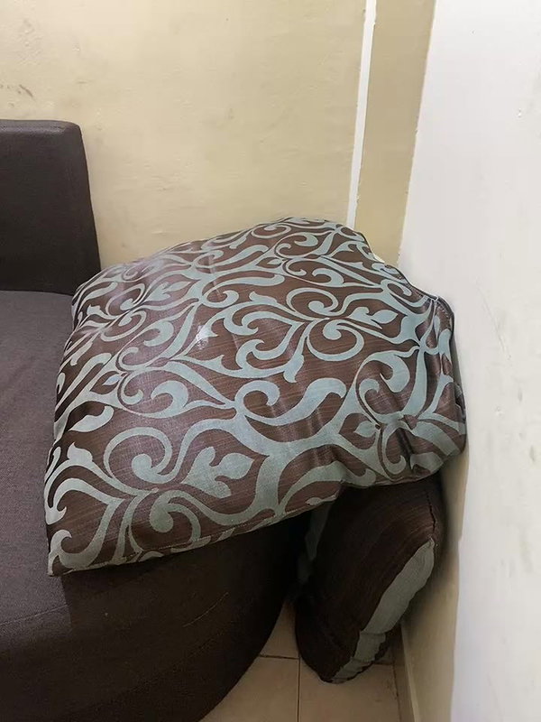 Beautiful Couple Hardcore Fucking in Doggy and Missionary and Blowjob