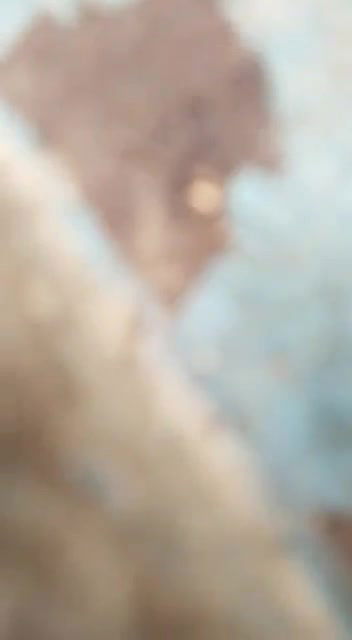 Desi govt teachers having sex in classroom