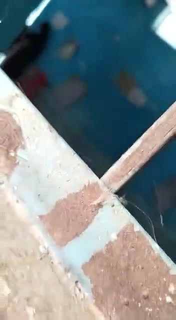 Desi govt teachers having sex in classroom