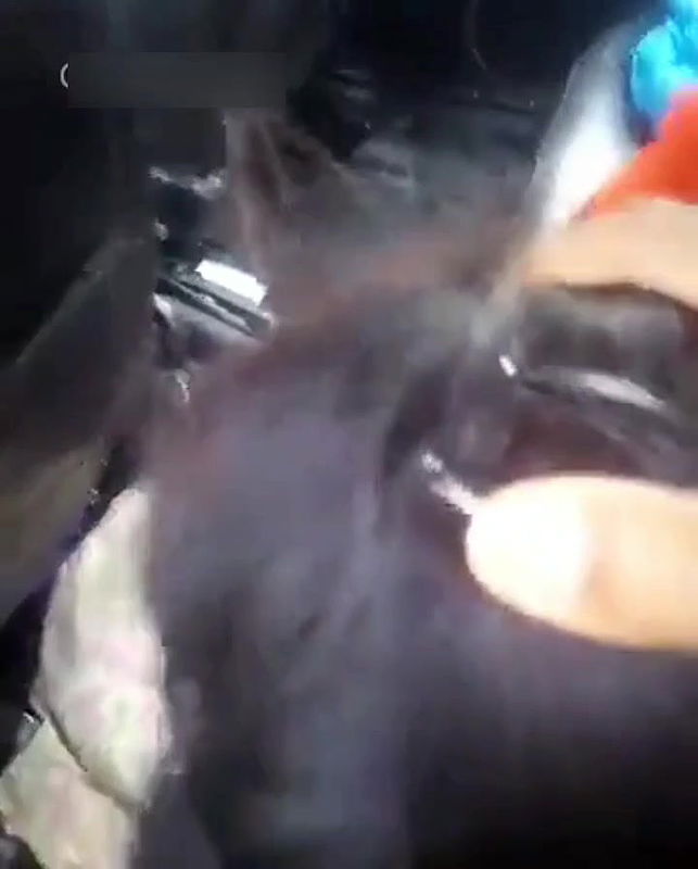 TamilgirlsCarFingering