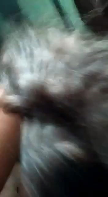 Indian cute girl fucking passionate sex with her boyfriend in fields