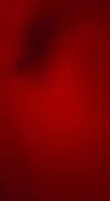 Real srilankan tamil sister and brother having sex secretly