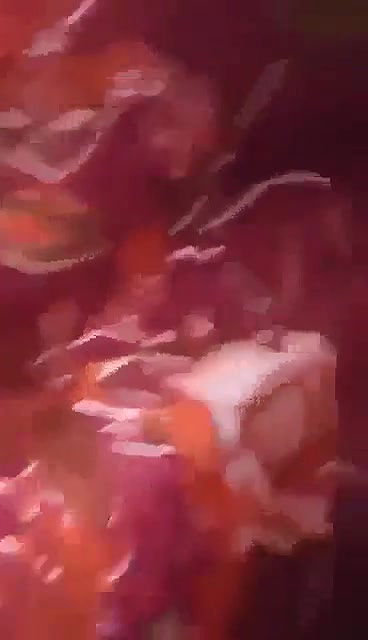 Desi village bahbi hot ride