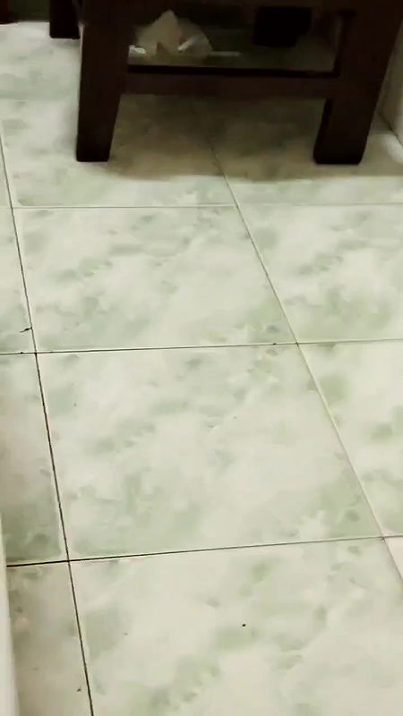 burma girl fucking with boss