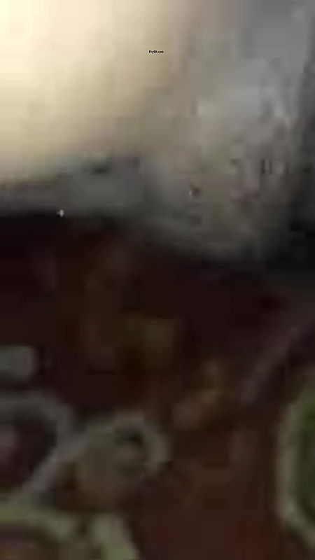 Desi cute Bhabhi video