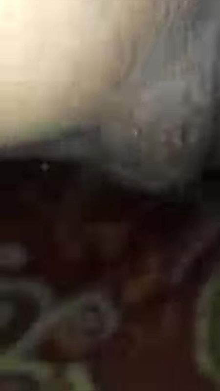 Desi cute Bhabhi video