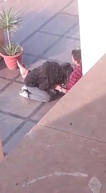 desi lovers blowjob caught in collage