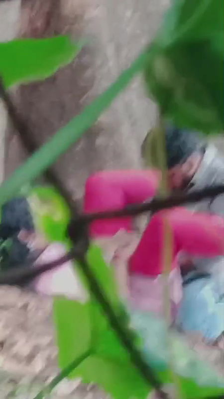 desi lovers sex in ooty reserve forest spy