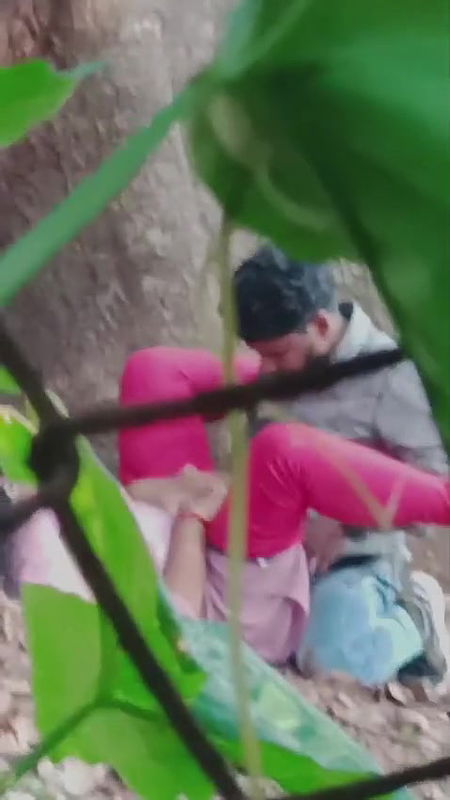 desi lovers sex in ooty reserve forest spy