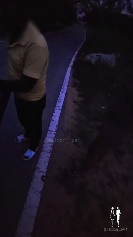 desi Exhibitionist wife with belpuri waala at night