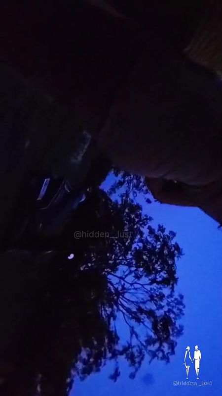 desi Exhibitionist wife with belpuri waala at night