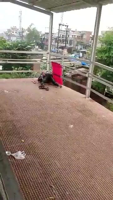 desi fucking in railway over bridge