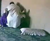 Pk sasur bahu fucking