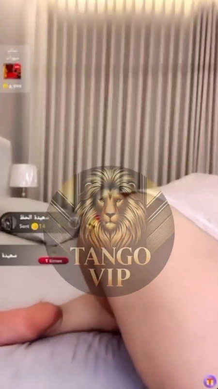 New STRIPCHAT video collection