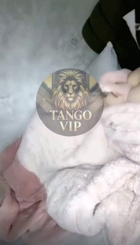 New STRIPCHAT video collection