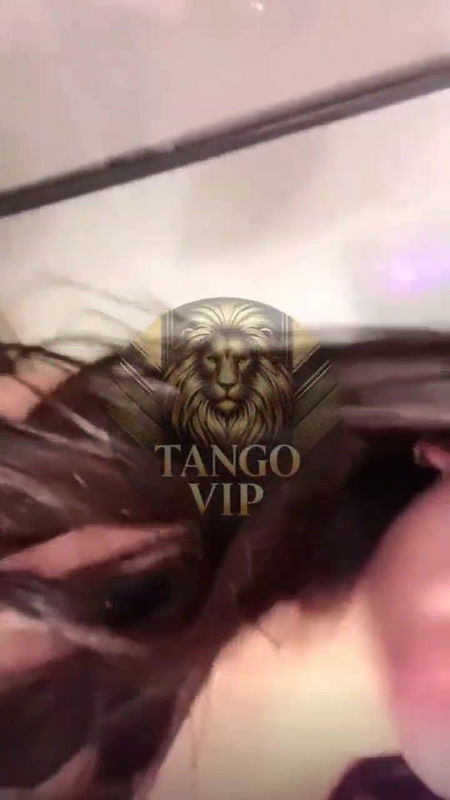 New STRIPCHAT video collection