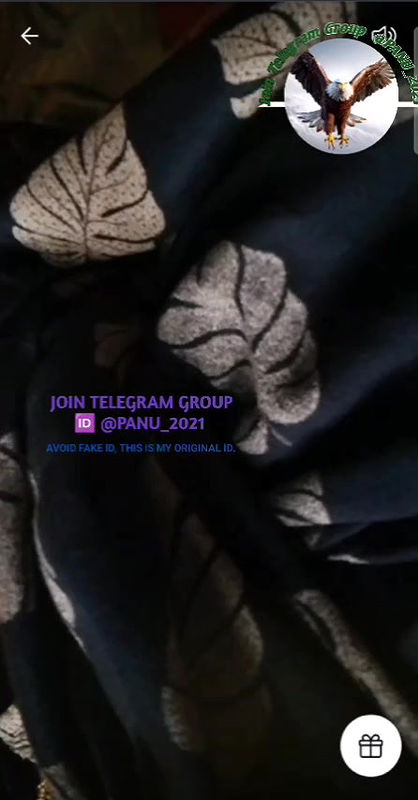 STRIPCHAT collection