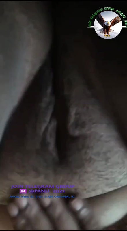 STRIPCHAT collection