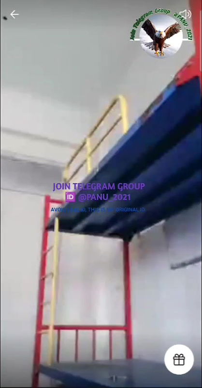 STRIPCHAT collection