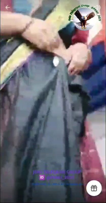 STRIPCHAT collection