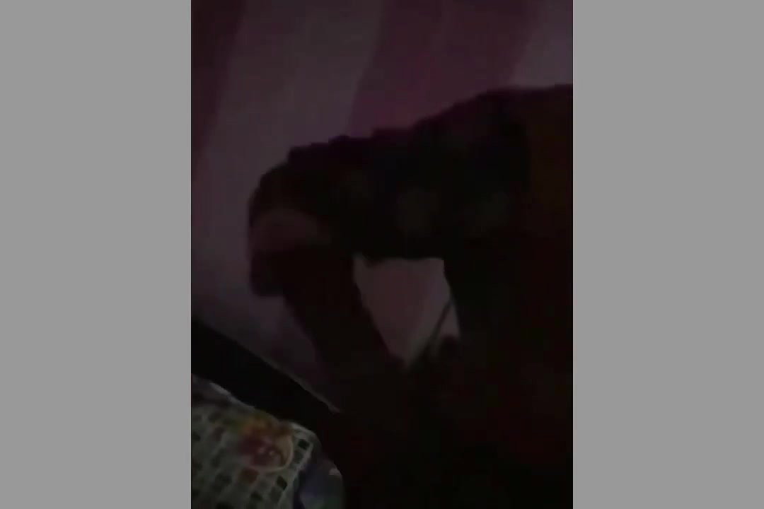 Sonagachi video