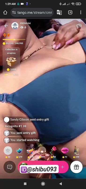 Youtuber Sujatha Simhadri premium video