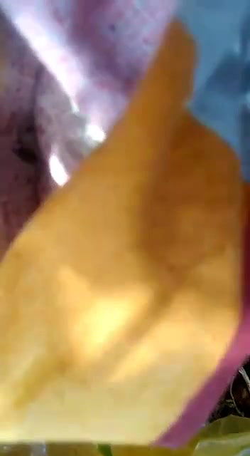 jungal me Mangal desi babe