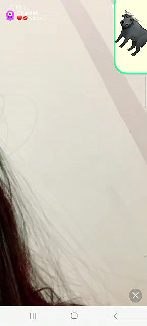 New chamet video collection