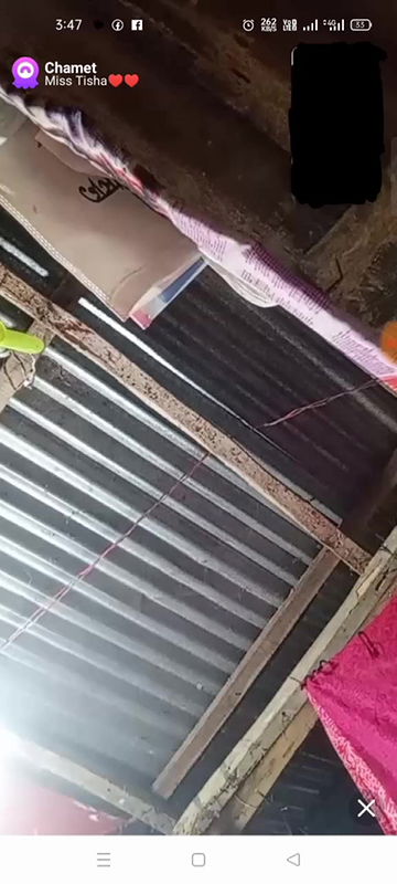 New chamet video collection