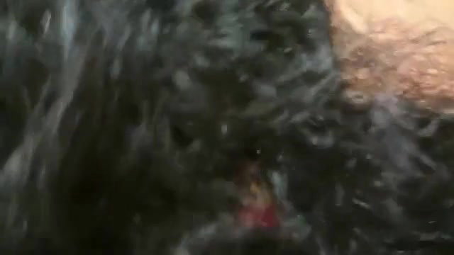 Desi new newly wed couple