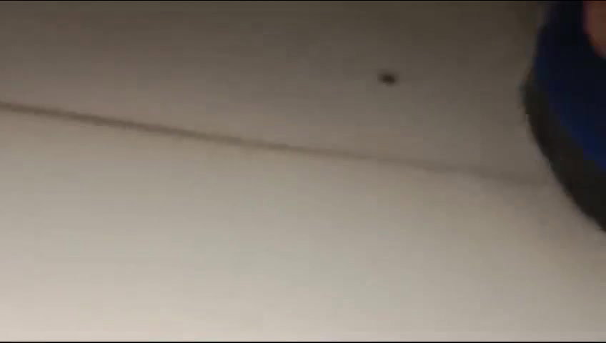 beautiful girlfriend