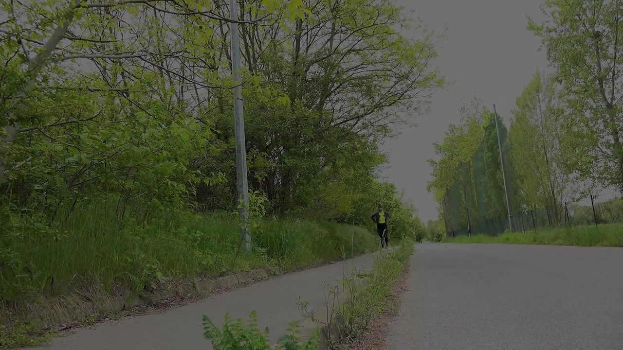 Barbe pees on the pavement outside in public