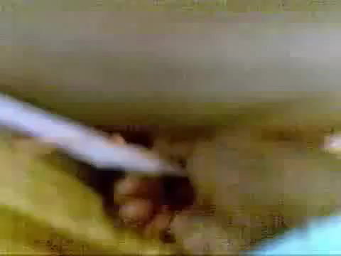 Mallu wife changing dress